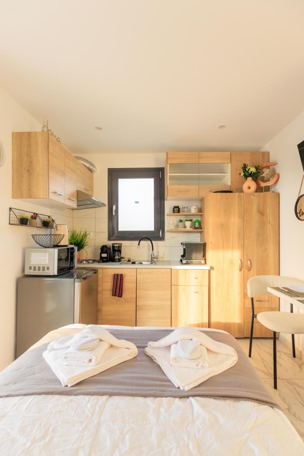 Aiolos Super Lux Jucuzzi Nea Smyrni Centre Apartment *